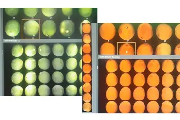 box image